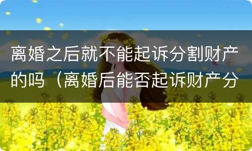 离婚之后就不能起诉分割财产的吗（离婚后能否起诉财产分割）