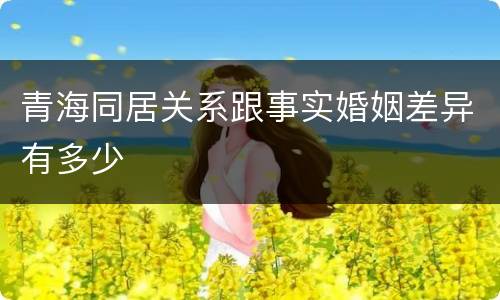 青海同居关系跟事实婚姻差异有多少