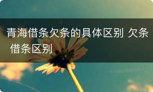 青海借条欠条的具体区别 欠条 借条区别