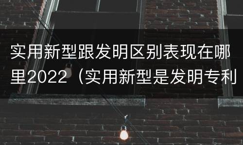 实用新型跟发明区别表现在哪里2022（实用新型是发明专利吗）