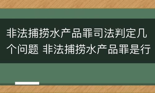 非法捕捞水产品罪司法判定几个问题 非法捕捞水产品罪是行为犯吗