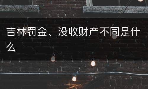 吉林罚金、没收财产不同是什么