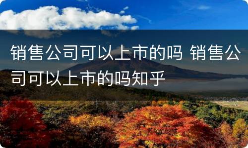 销售公司可以上市的吗 销售公司可以上市的吗知乎