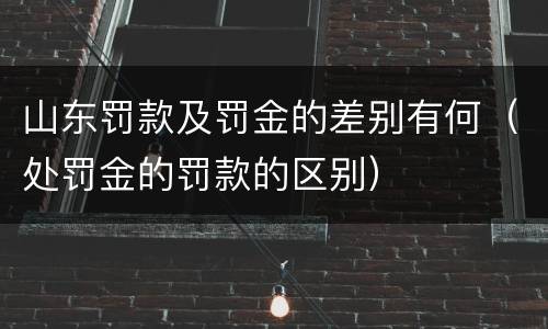 山东罚款及罚金的差别有何(处罚金的罚款的区别)