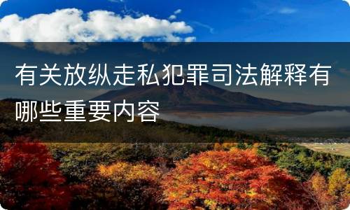 有关放纵走私犯罪司法解释有哪些重要内容