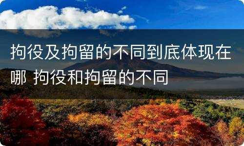 拘役及拘留的不同到底体现在哪 拘役和拘留的不同