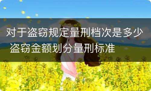 对于盗窃规定量刑档次是多少 盗窃金额划分量刑标准