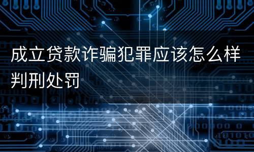 成立贷款诈骗犯罪应该怎么样判刑处罚