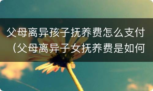 父母离异孩子抚养费怎么支付（父母离异子女抚养费是如何判定）