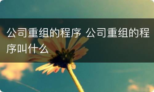 公司重组的程序 公司重组的程序叫什么