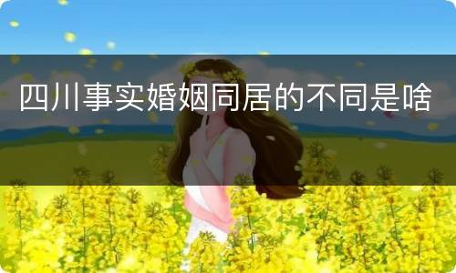 四川事实婚姻同居的不同是啥