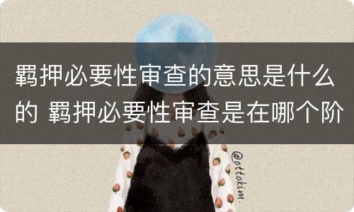 羁押必要性审查的意思是什么的 羁押必要性审查是在哪个阶段