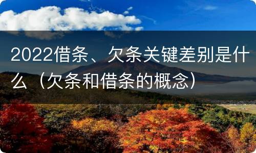 2022借条、欠条关键差别是什么（欠条和借条的概念）