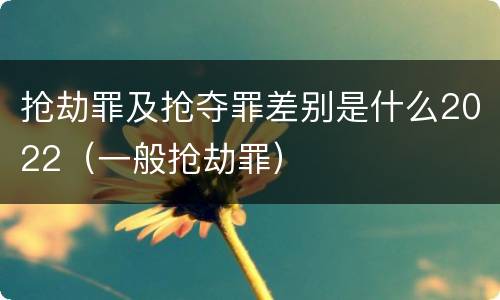 抢劫罪及抢夺罪差别是什么2022（一般抢劫罪）
