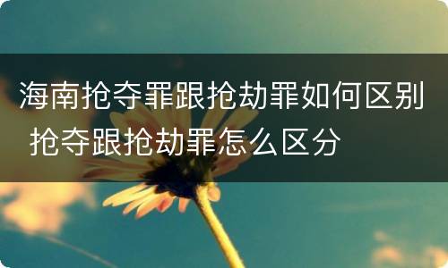 海南抢夺罪跟抢劫罪如何区别 抢夺跟抢劫罪怎么区分