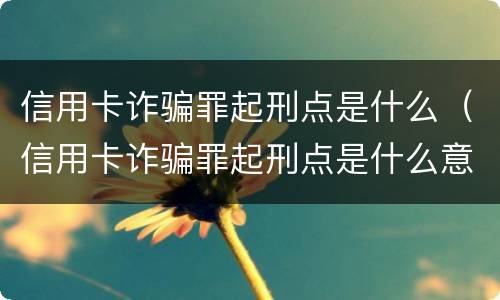 信用卡诈骗罪起刑点是什么（信用卡诈骗罪起刑点是什么意思）