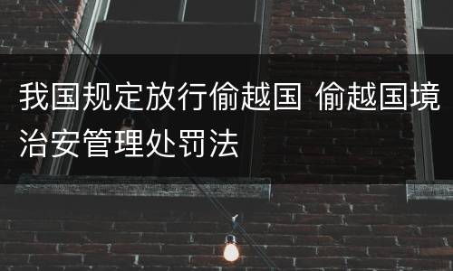 我国规定放行偷越国 偷越国境治安管理处罚法