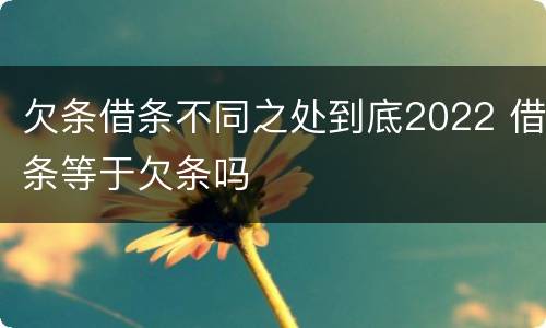 欠条借条不同之处到底2022 借条等于欠条吗