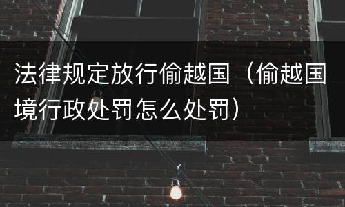 法律规定放行偷越国（偷越国境行政处罚怎么处罚）