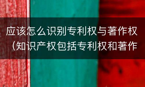 应该怎么识别专利权与著作权（知识产权包括专利权和著作权吗）