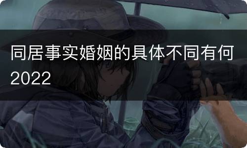 同居事实婚姻的具体不同有何2022