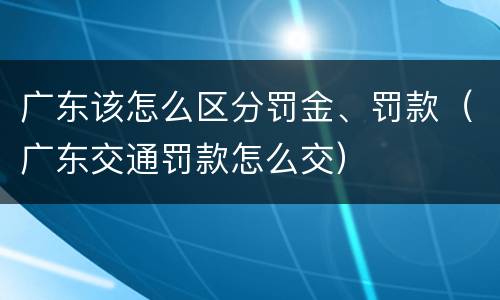 广东该怎么区分罚金、罚款（广东交通罚款怎么交）