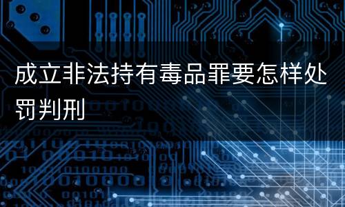 成立非法持有毒品罪要怎样处罚判刑