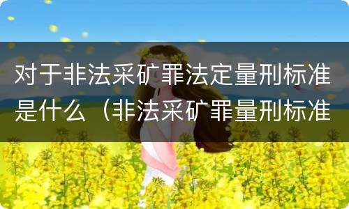 对于非法采矿罪法定量刑标准是什么（非法采矿罪量刑标准情节特别严重）