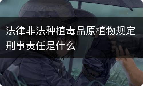 法律非法种植毒品原植物规定刑事责任是什么