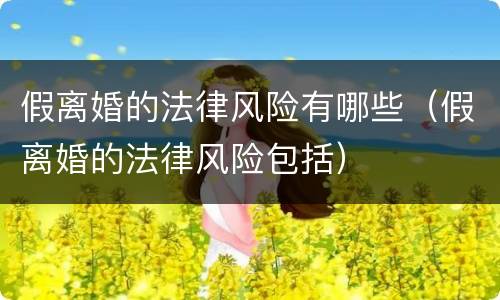 假离婚的法律风险有哪些（假离婚的法律风险包括）