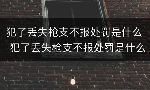 犯了丢失枪支不报处罚是什么 犯了丢失枪支不报处罚是什么意思