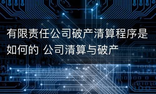 有限责任公司破产清算程序是如何的 公司清算与破产