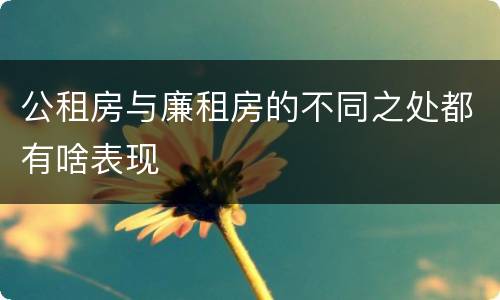 公租房与廉租房的不同之处都有啥表现