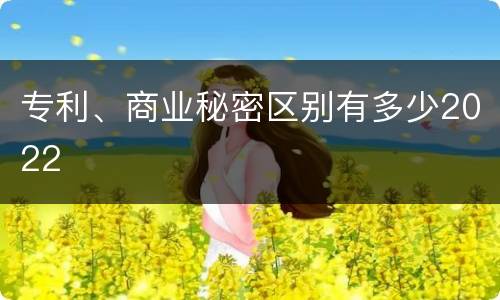 专利、商业秘密区别有多少2022