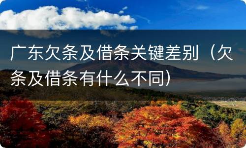 广东欠条及借条关键差别（欠条及借条有什么不同）