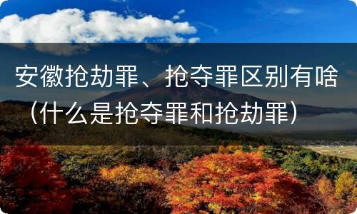 安徽抢劫罪、抢夺罪区别有啥（什么是抢夺罪和抢劫罪）