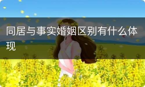 同居与事实婚姻区别有什么体现