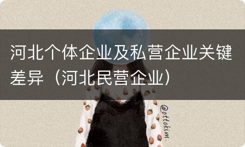 河北个体企业及私营企业关键差异（河北民营企业）