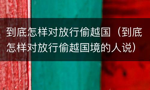 到底怎样对放行偷越国（到底怎样对放行偷越国境的人说）