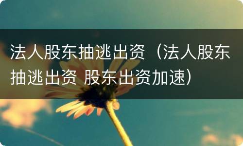 法人股东抽逃出资（法人股东抽逃出资 股东出资加速）