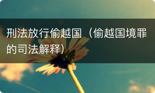 刑法放行偷越国（偷越国境罪的司法解释）