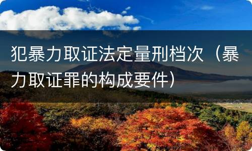 犯暴力取证法定量刑档次（暴力取证罪的构成要件）