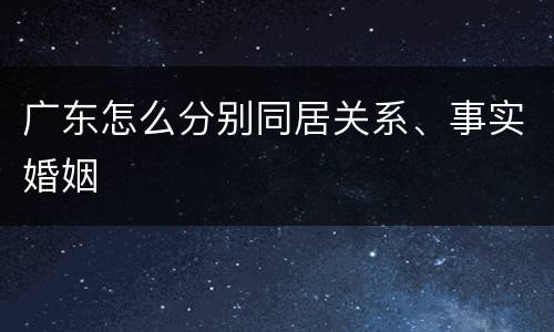 广东怎么分别同居关系、事实婚姻