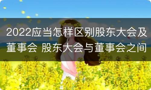 2022应当怎样区别股东大会及董事会 股东大会与董事会之间是什么关系