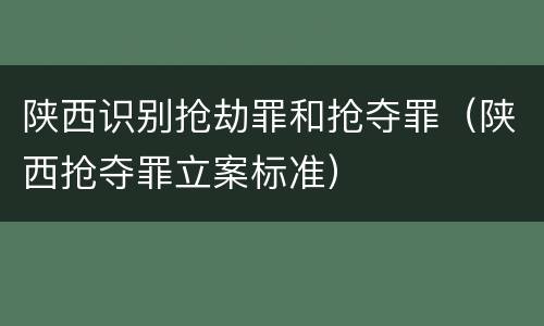陕西识别抢劫罪和抢夺罪（陕西抢夺罪立案标准）