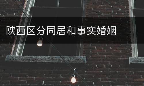 陕西区分同居和事实婚姻