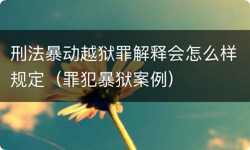 刑法暴动越狱罪解释会怎么样规定（罪犯暴狱案例）