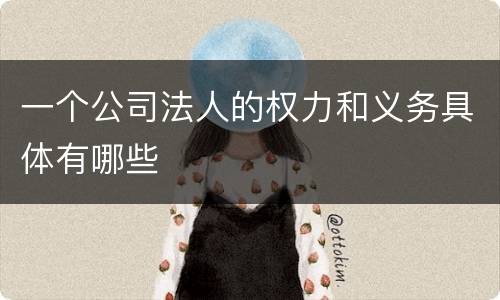 一个公司法人的权力和义务具体有哪些