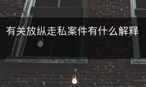 有关放纵走私案件有什么解释