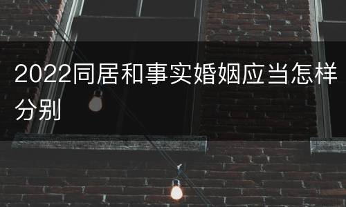 2022同居和事实婚姻应当怎样分别